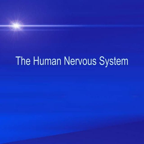 chap 3 psychologythe nervous system pp.ppt