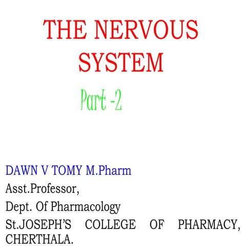 The nervous system presentation dawn part 2