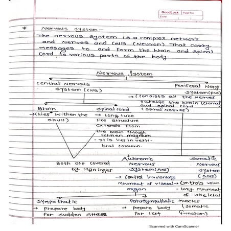 the nervous system sem ll b pharm notes....pdf