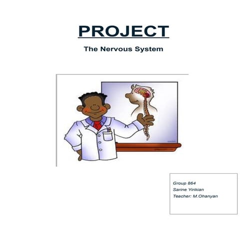 The nervous system