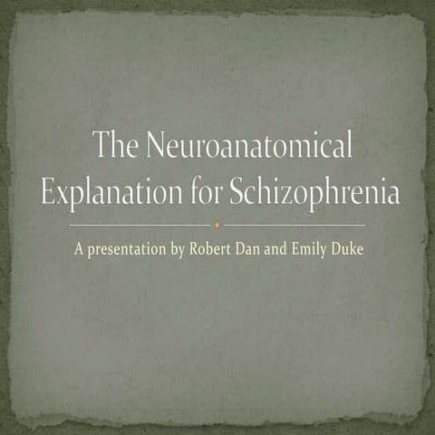 The neuroanatomical explanation for schizophrenia