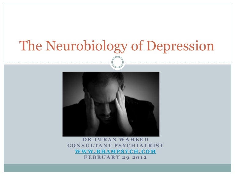 Neurobiology of depression ppt