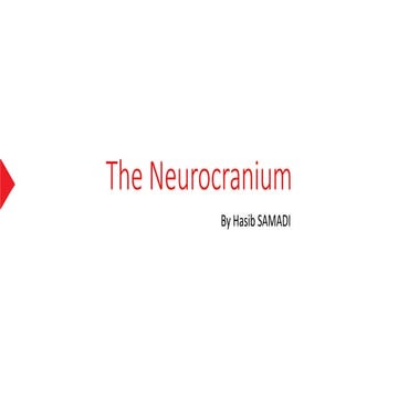 The neurocranium