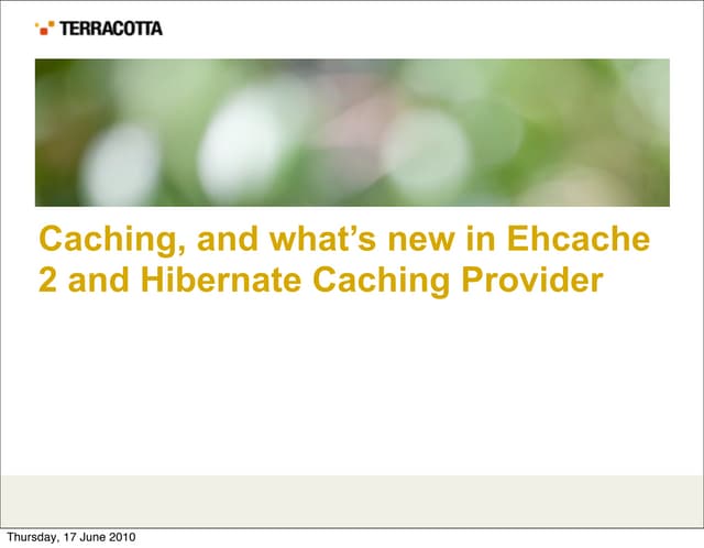The new ehcache 2.0 and hibernate spi