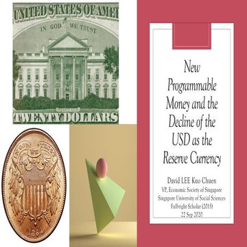 Will the USD continue to be the Dominant Reserve Currency_David Lee