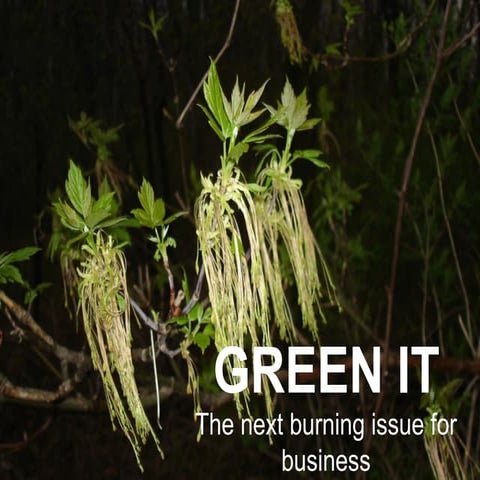 The next wave of GreenIT | PPT