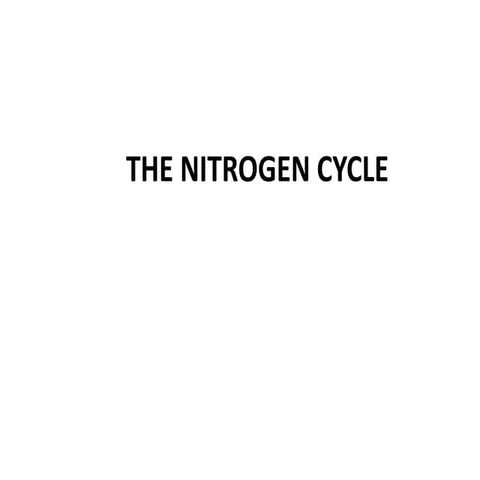 The nitrogen cycle