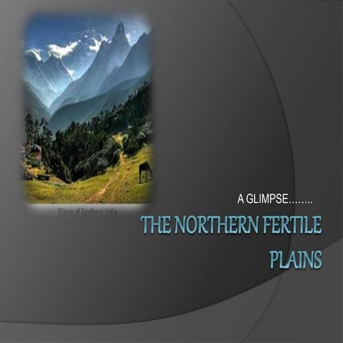 The northern  plains ppt