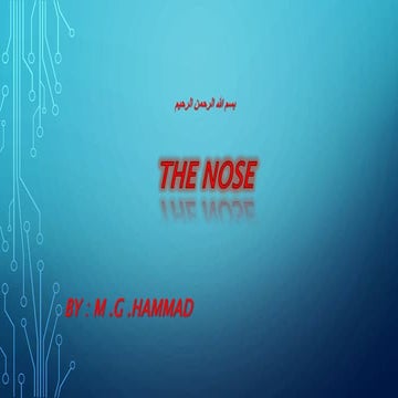 The nose