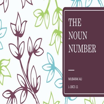 The noun number