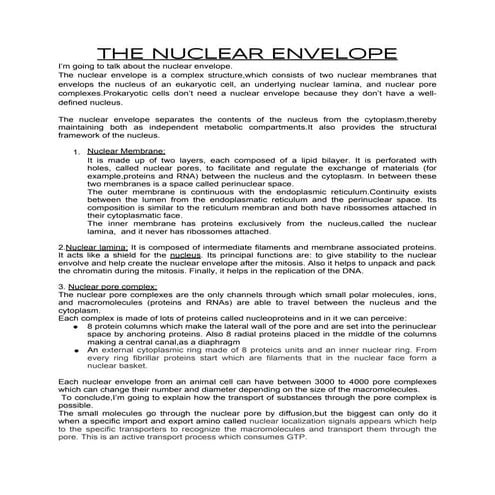 The nuclear envelope