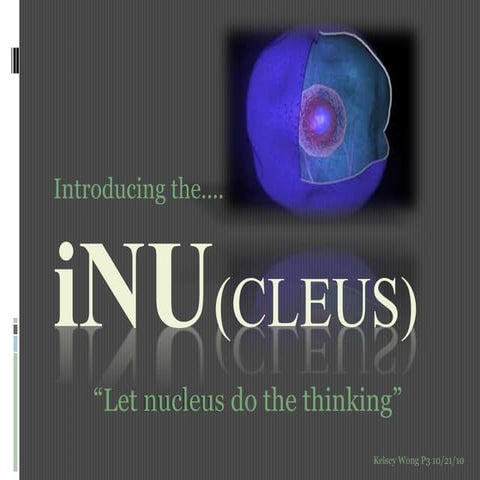 The nucleus