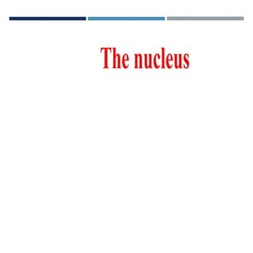 the_nucleus.pptx