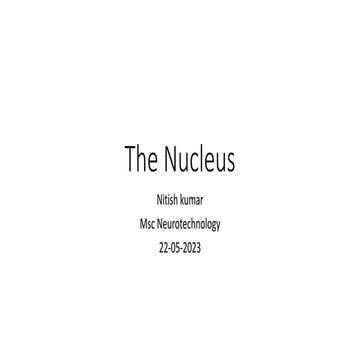 The Nucleus 