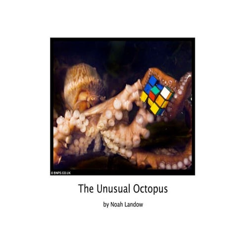Magical Octopus Hatchling | Premium AI-generated Image