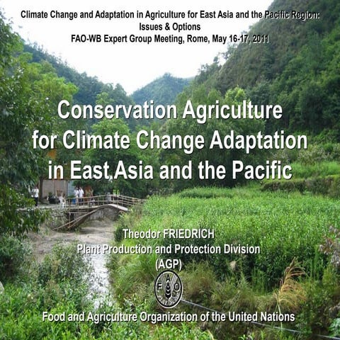 Theo friedrich -_ca_for_cc_adaptation_in_eap