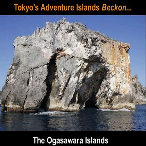 The Ogasawara Islands - -  Tokyo's Adventure  Islands