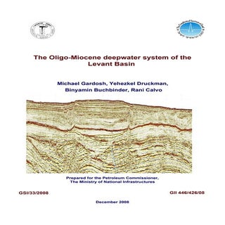 The Oligo-Miocene deepwater system ...