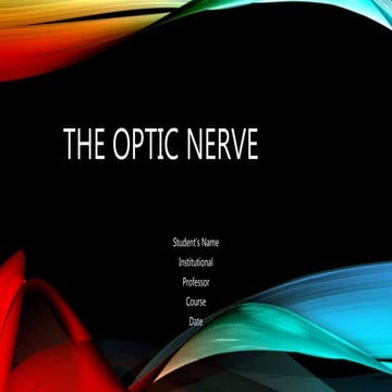 THE OPTIC NERVE