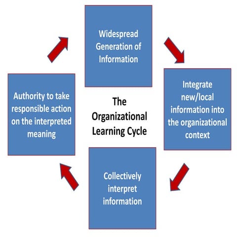 The organizational learning cycle