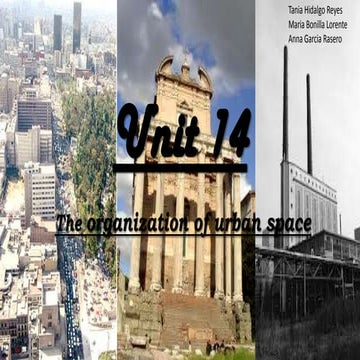 The organization of urban space