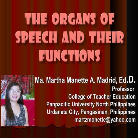 speech organs :Understanding the Mechanisms of Human Speech Production ...