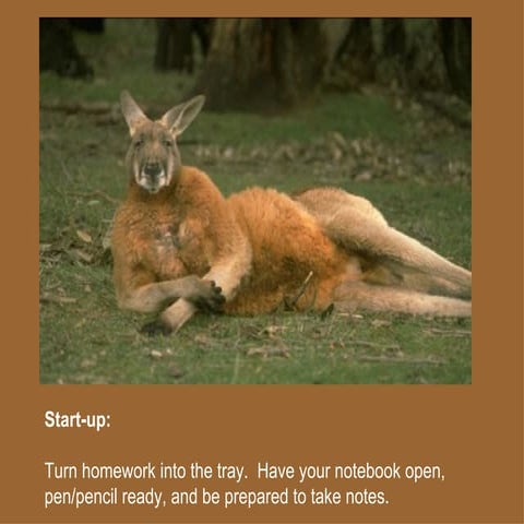 Theories And Intro To Animal Behavior