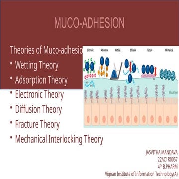 Theories of Muco-Adhesion in buccal drug delivery system. | PPTX