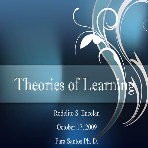 Theories of Learning
