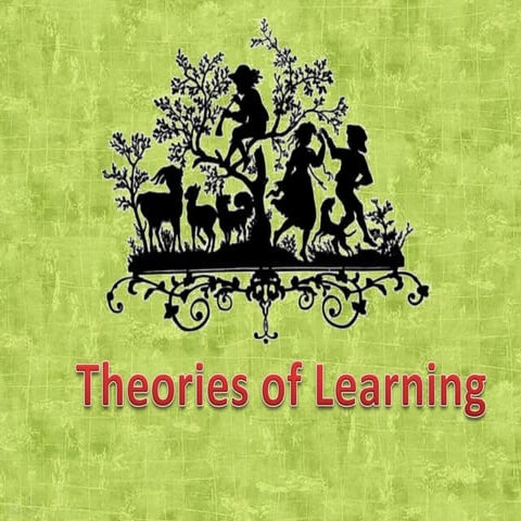 Theories of learning