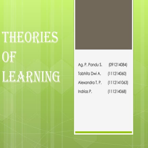 Theories of learning