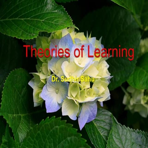 Theories of learning by dr sudhir sahu