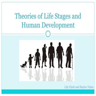 Theories of life stages and human d...