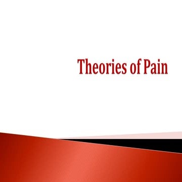 Theories of pain