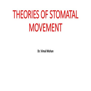 Theories of stomatal movement