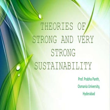 Theories of strong sustainability