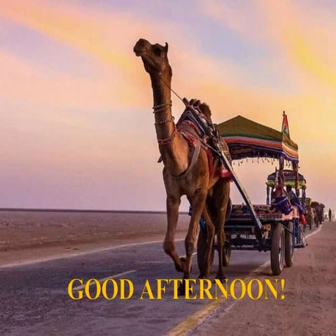 THEORIES OF TOOTH ERUPTION