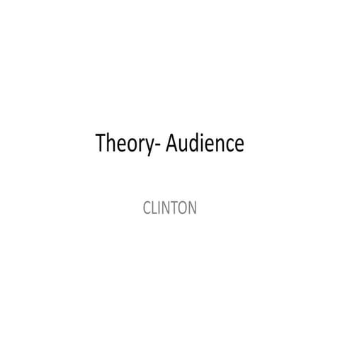 Theory  Audience Project 2