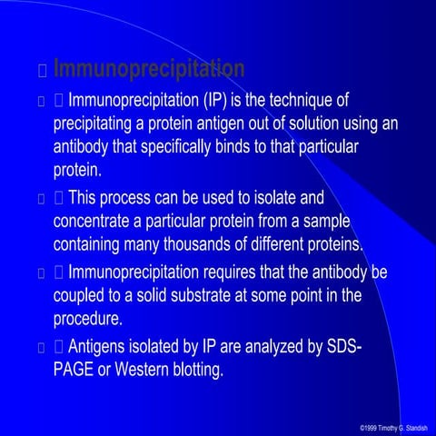 Protein Immunoprecipitation