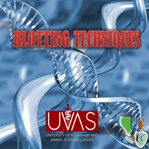 BLOTTING TECHNIQUES SPECIAL