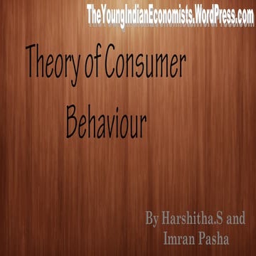 Theory of Consumer Behaviour