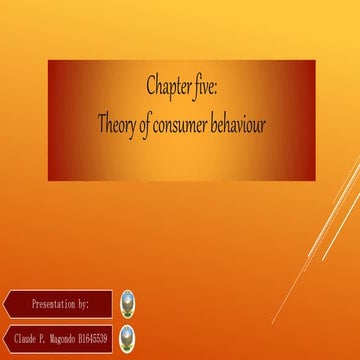 Theory of consumer behaviour