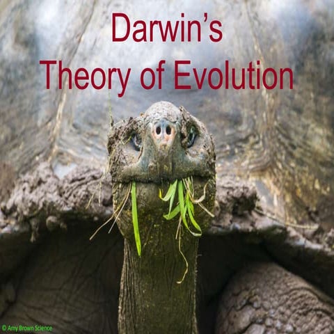 Theory of evolution power point