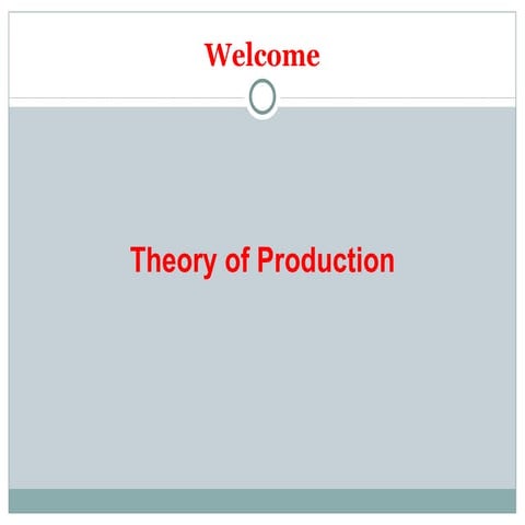 Theory of Production