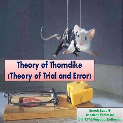 Theory of Thorndike - Learning Theory