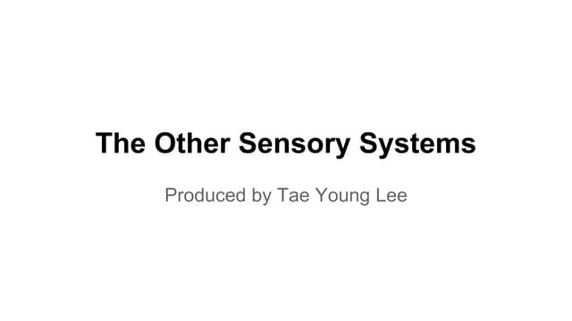 The other sensory systems
