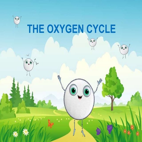 The Oxygen Cycle