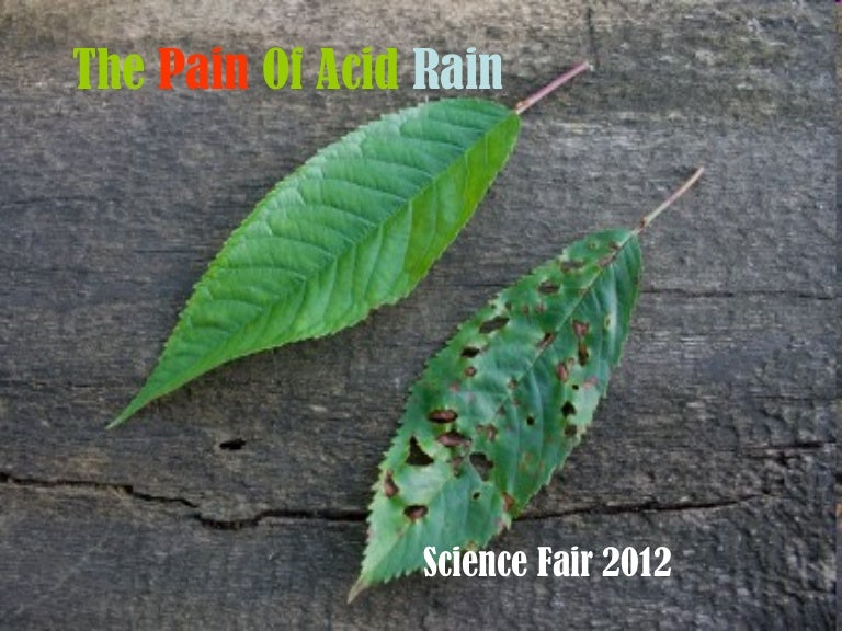The pain of acid rain