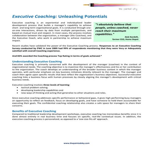 The painted sky   executive coaching