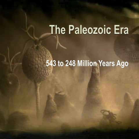 The Paleozoic Era